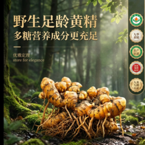 菁选灵创AIGC全景服务宣传图